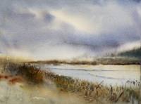 A Breeze Over the Marsh