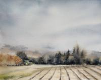 Lines in the Soil