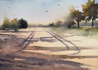 Long Shadows Early Light