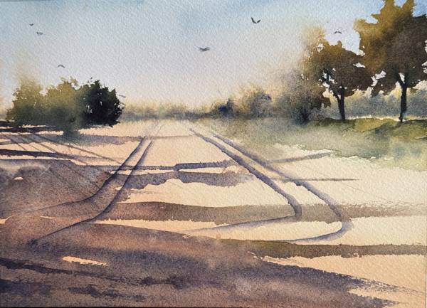 Long Shadows Early Light