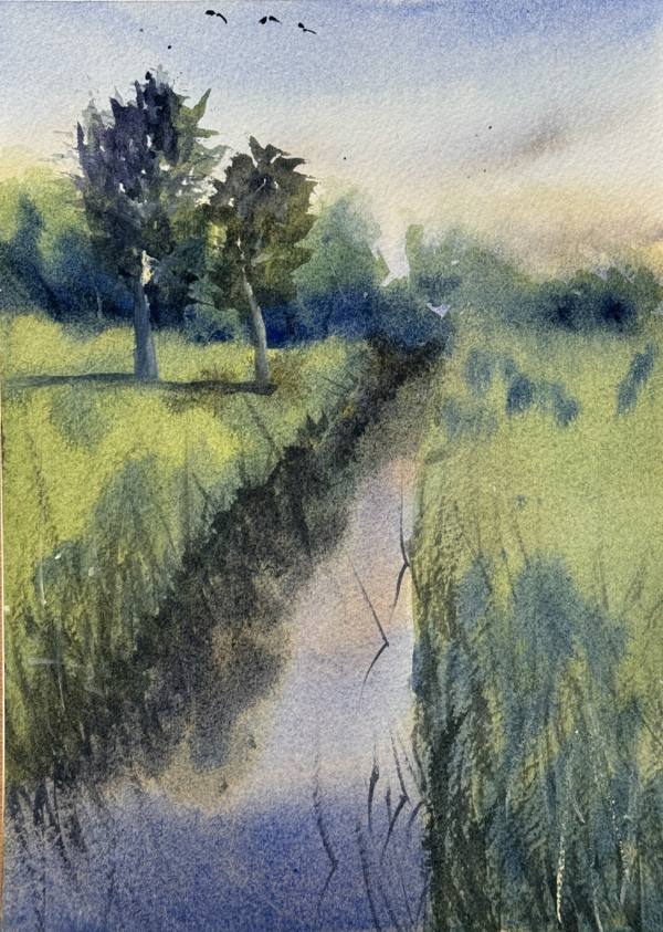 Quiet Reflections