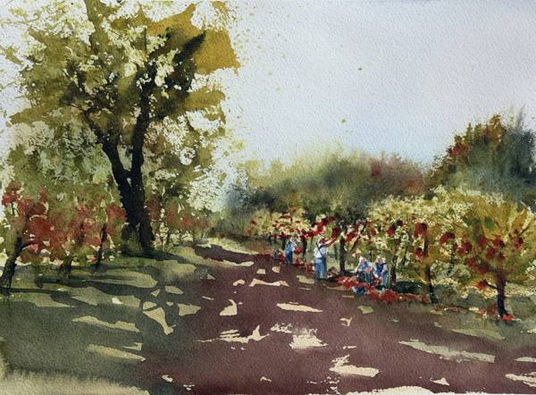 Sunlit Path in Saratoga