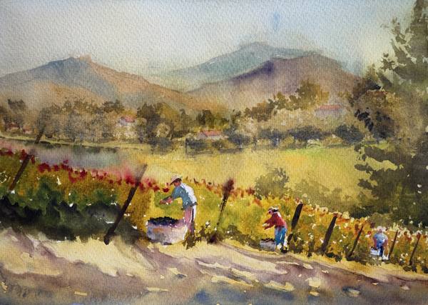 The Day Ripens at Orfila