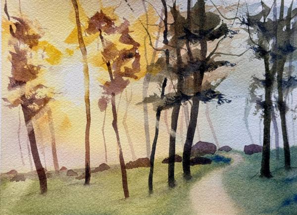 Trees Hold Secrets