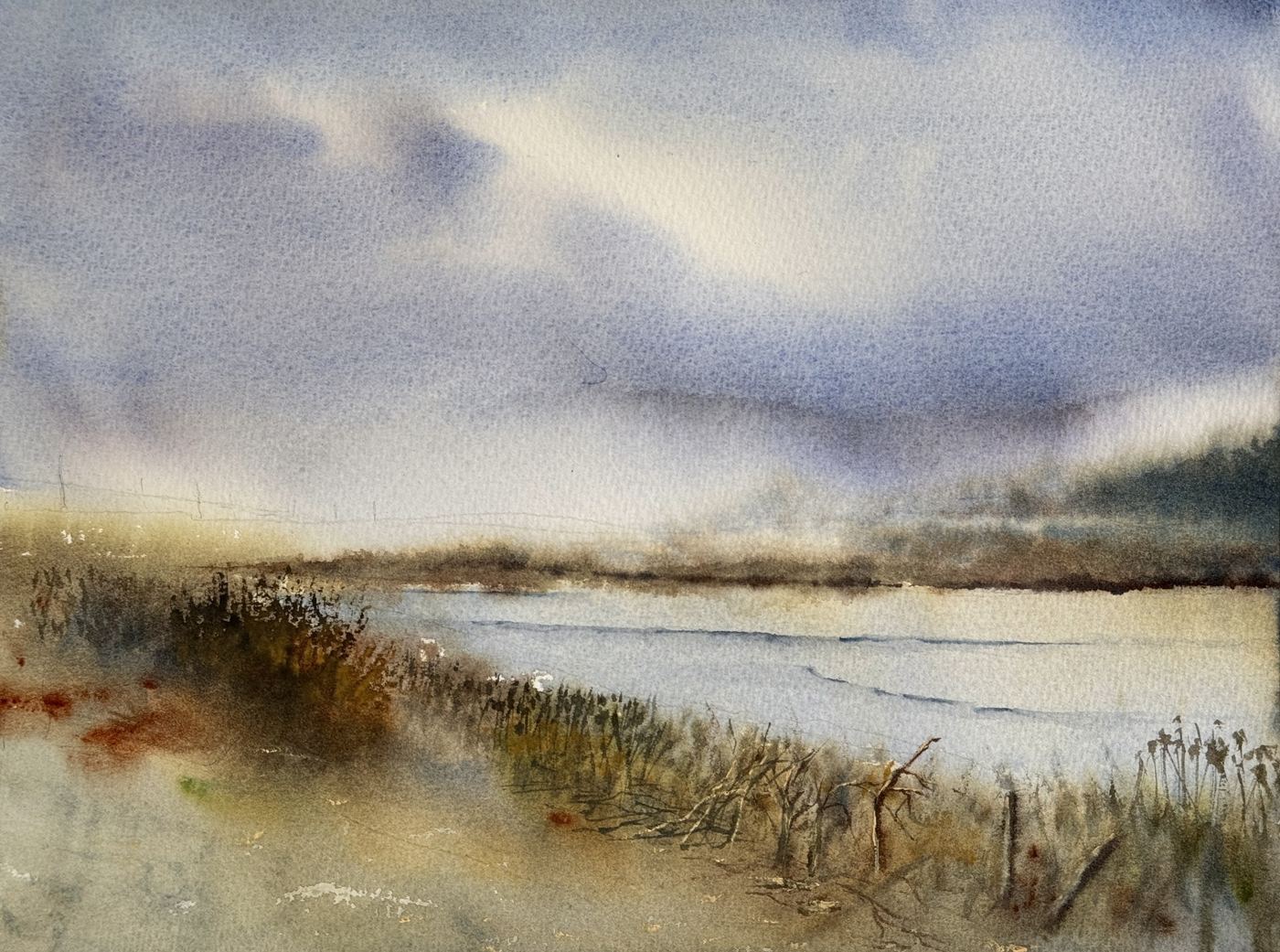 A Breeze Over the Marsh