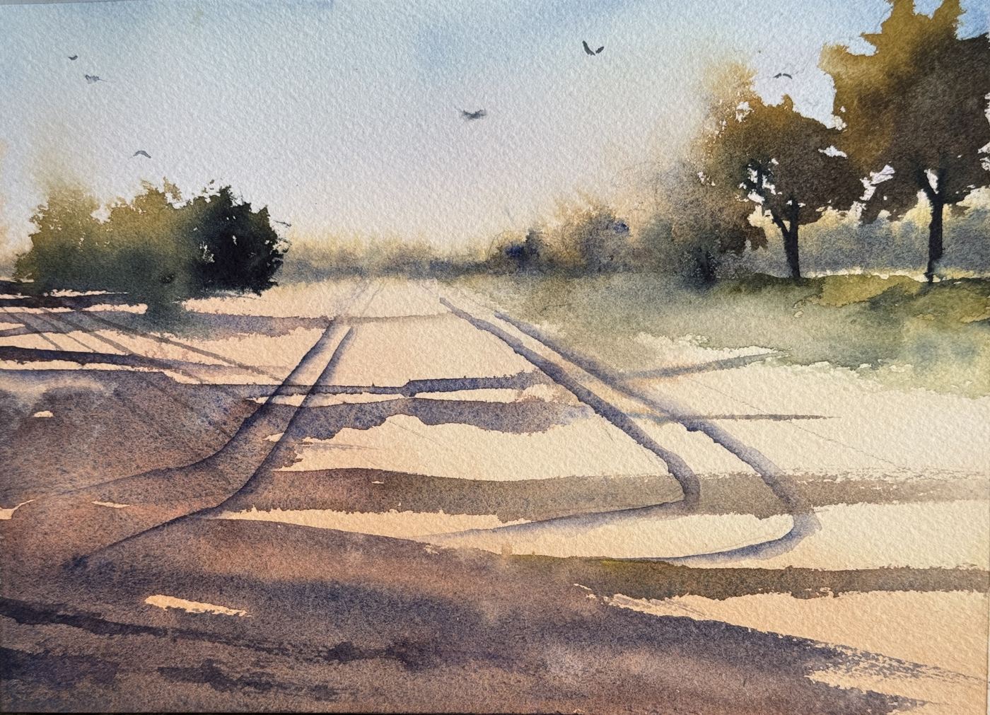 Long Shadows Early Light