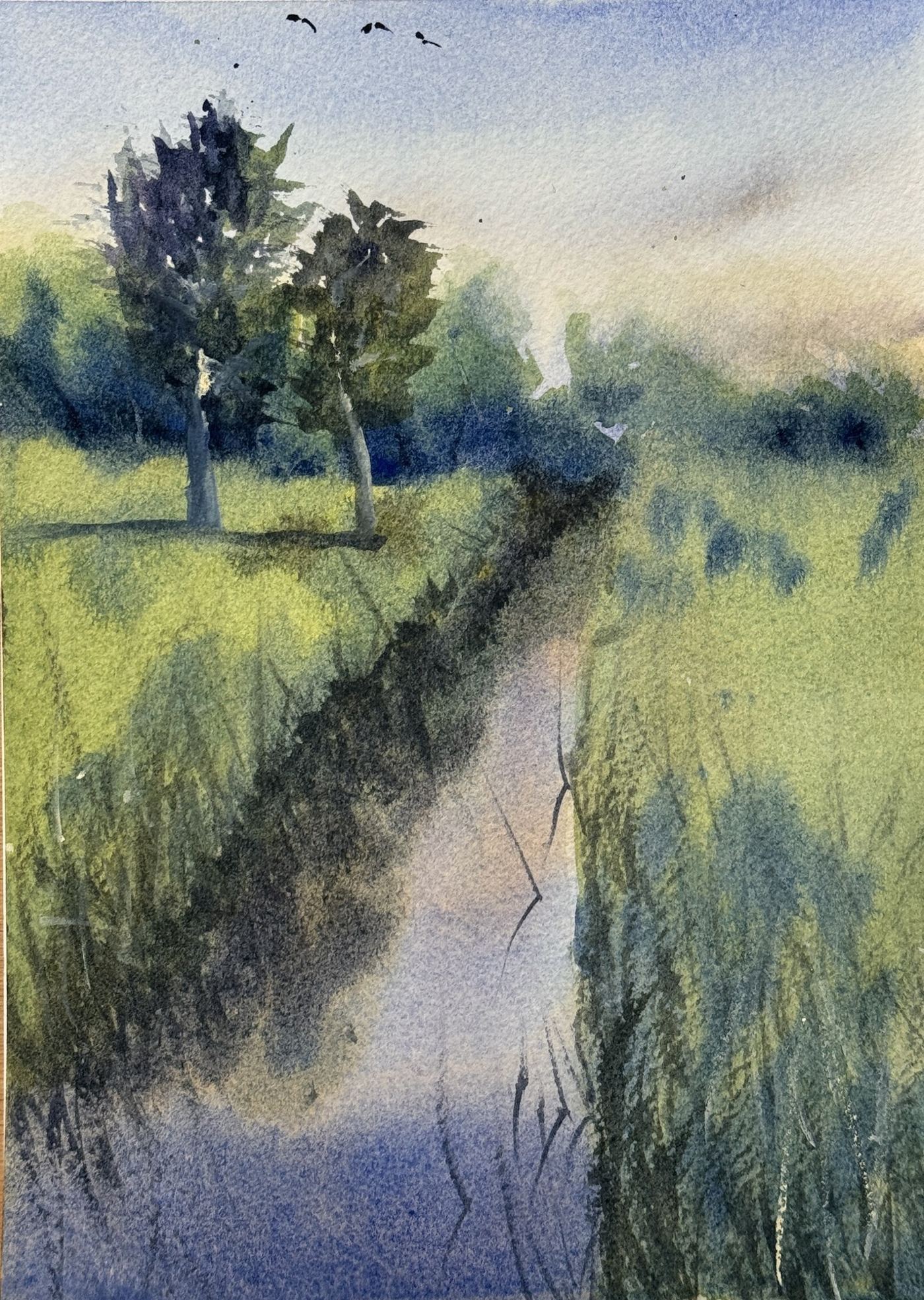 Quiet Reflections