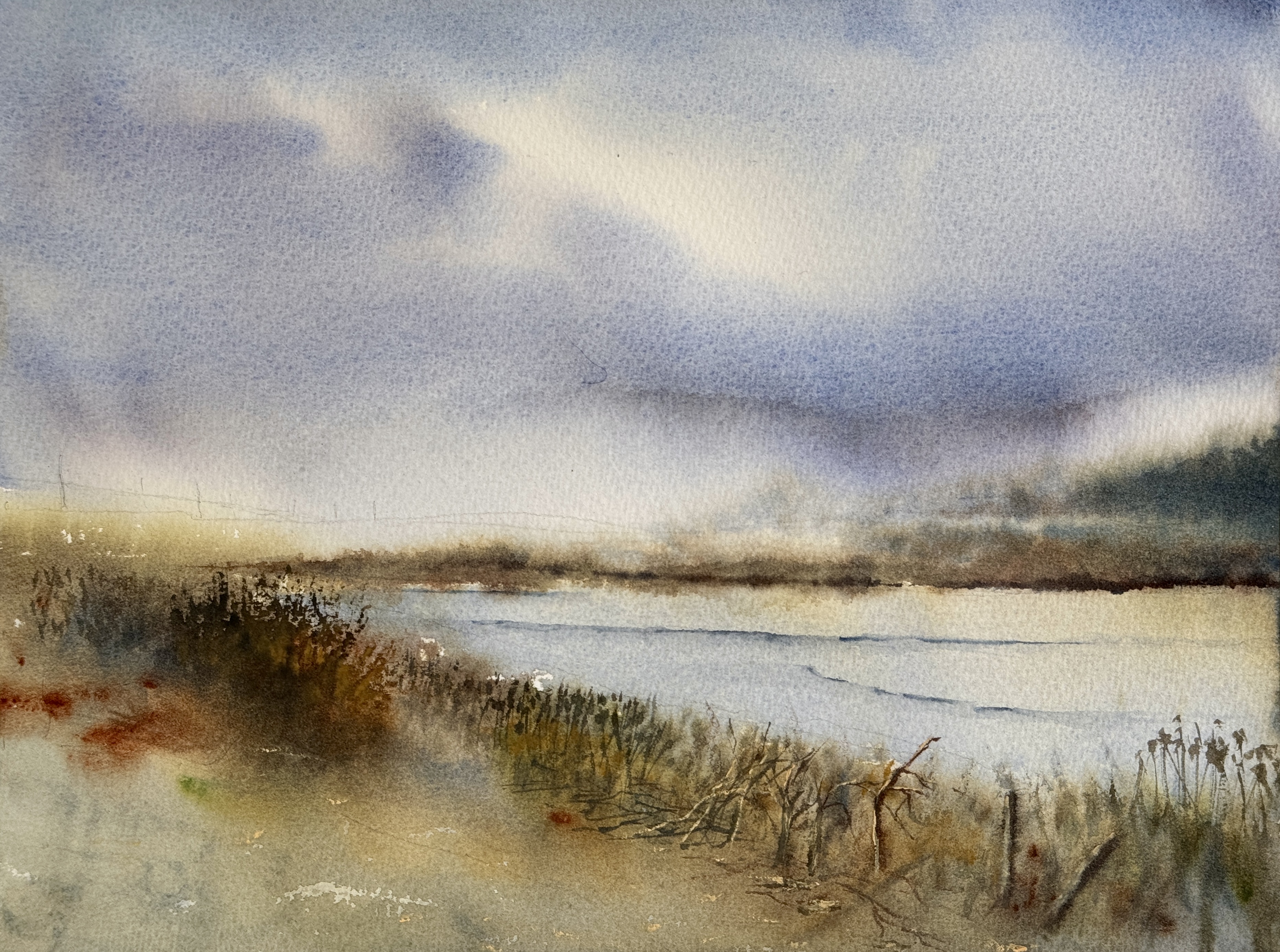 A breeze over the marsh