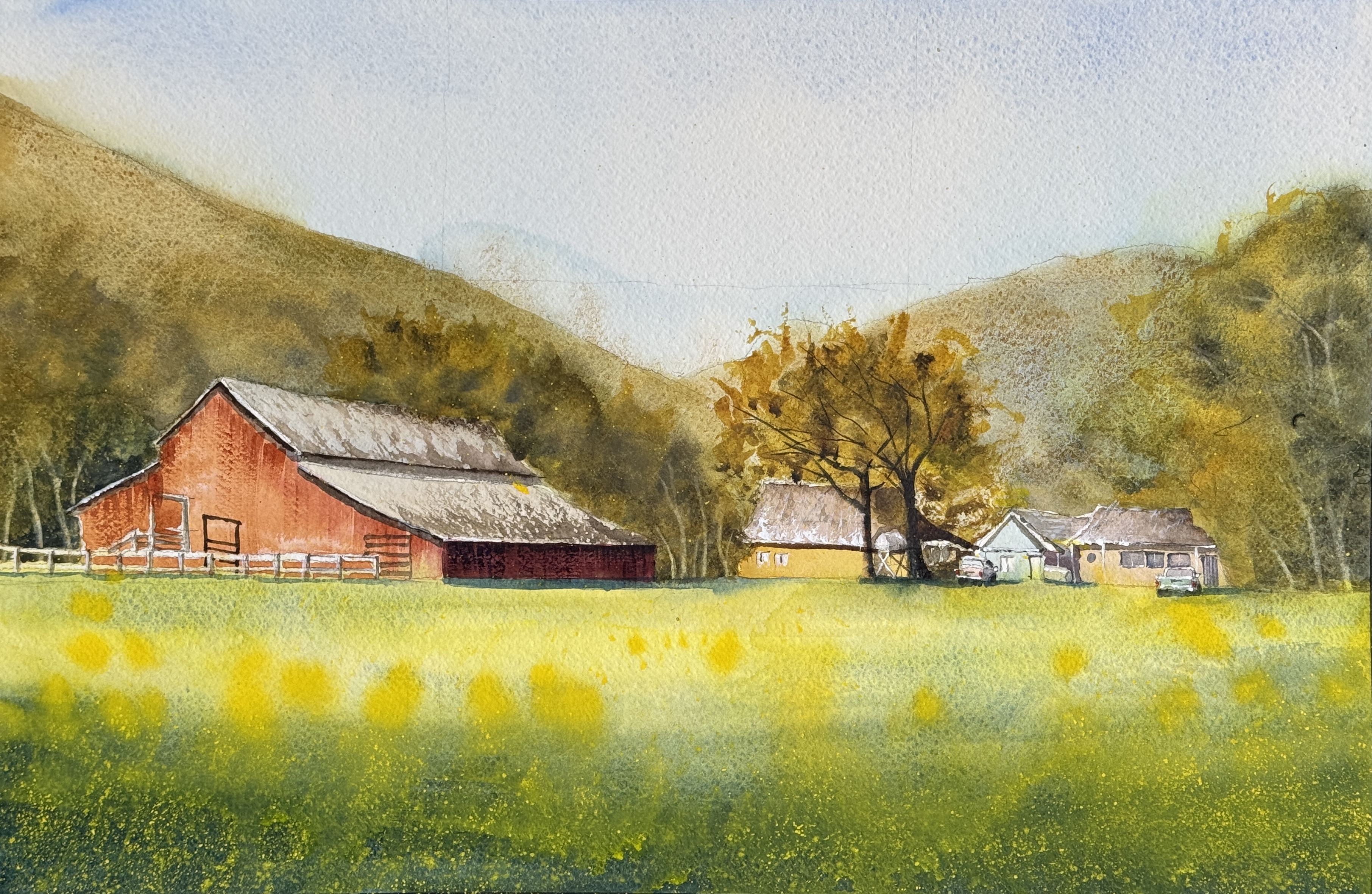 A place to call home