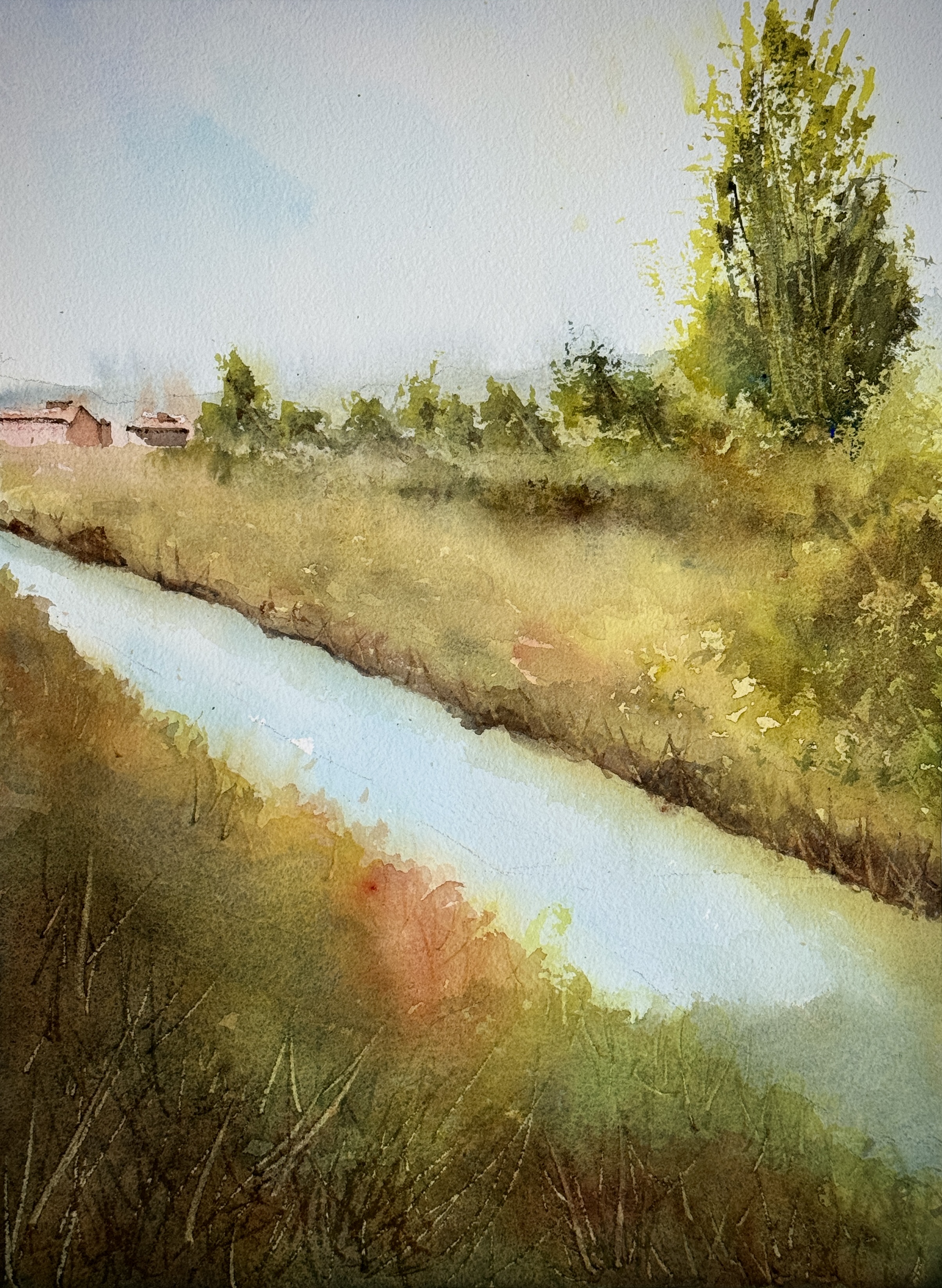 Edge of the wetlands