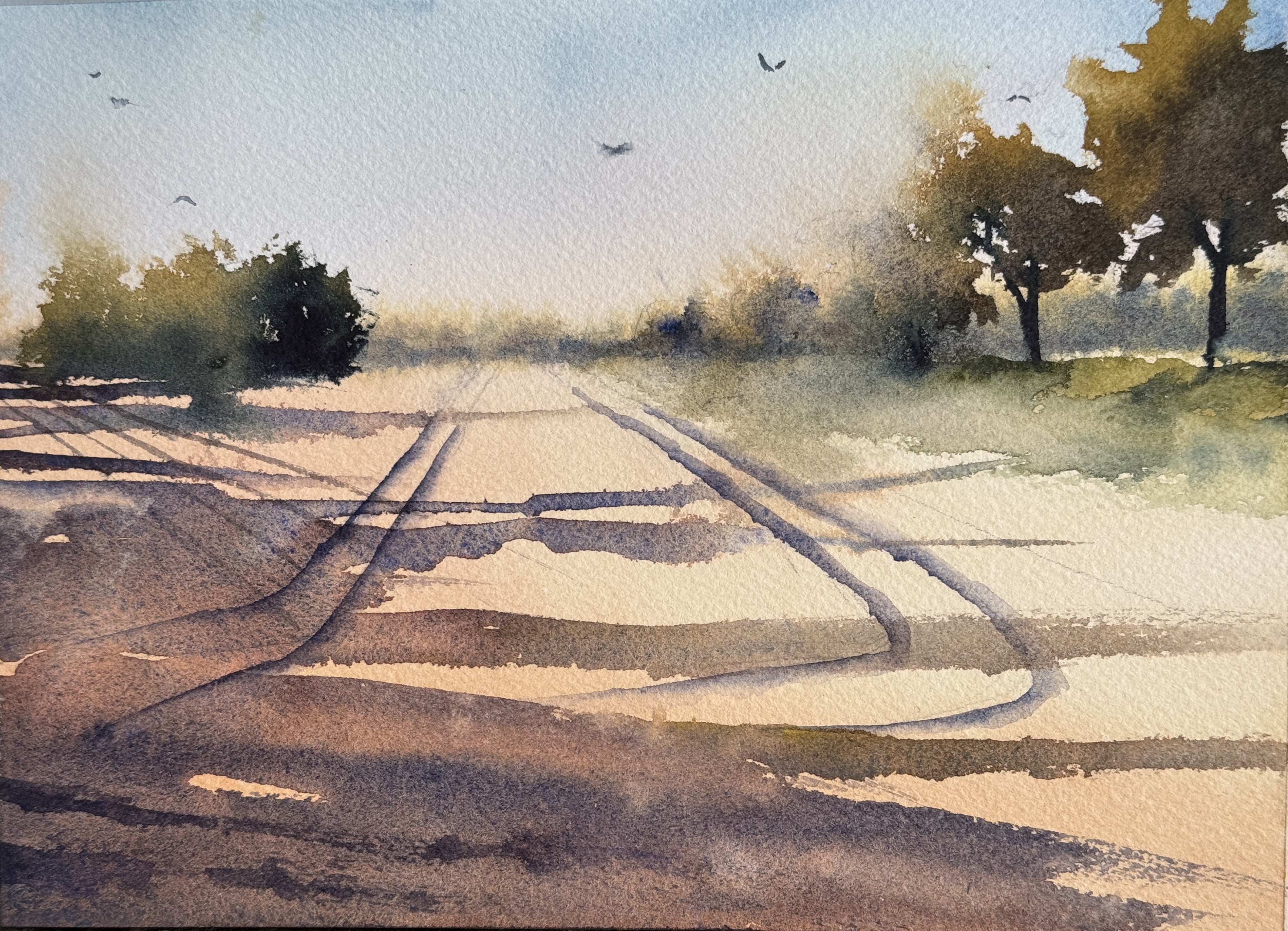 Long shadows early light