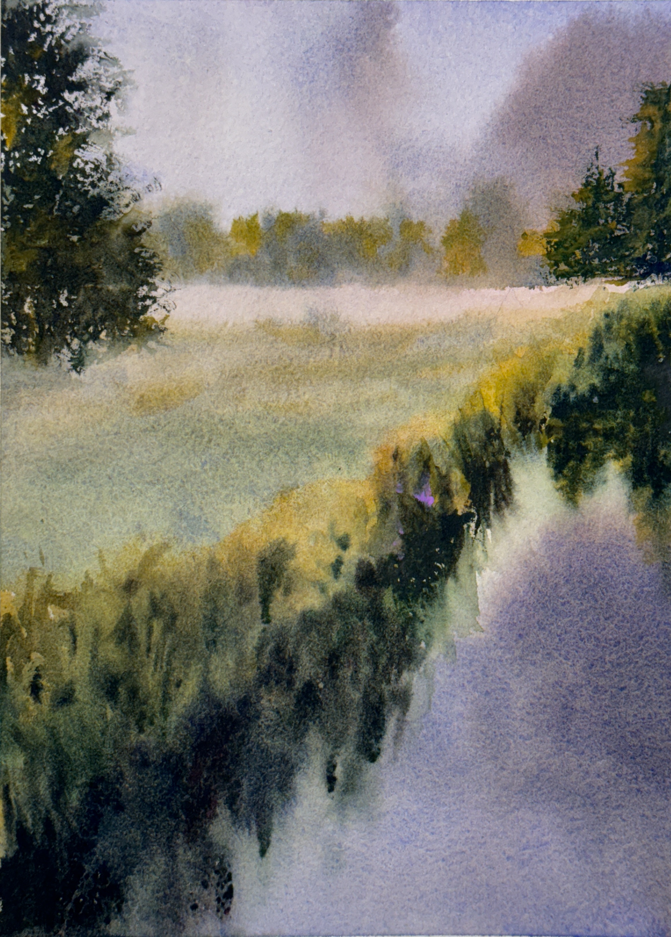 Mist over the meadow