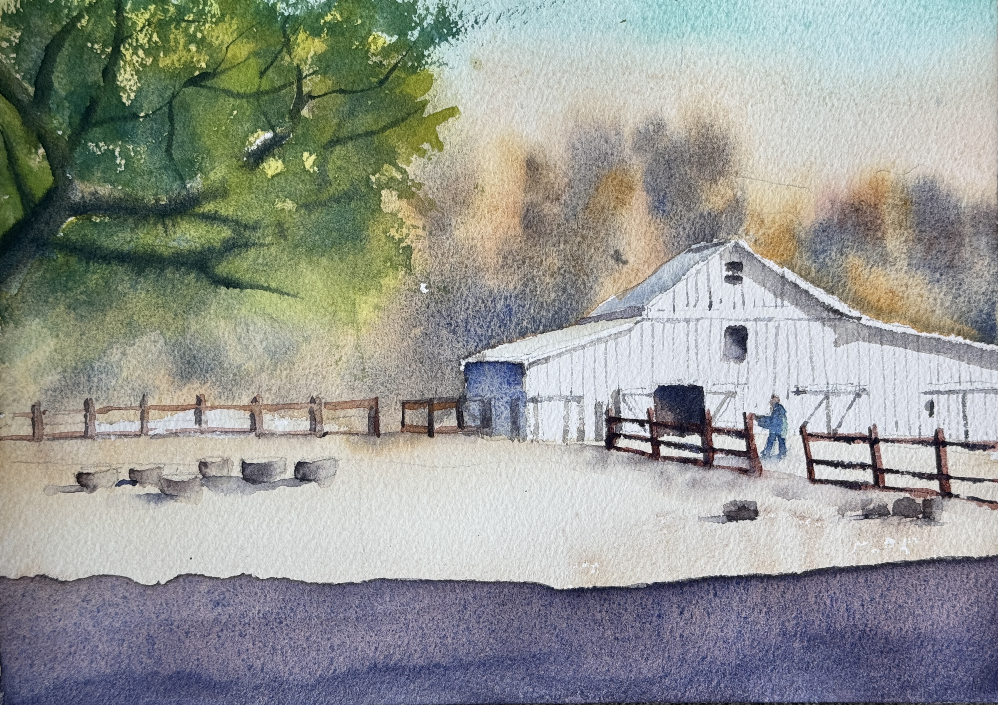 Morning chores at the farm