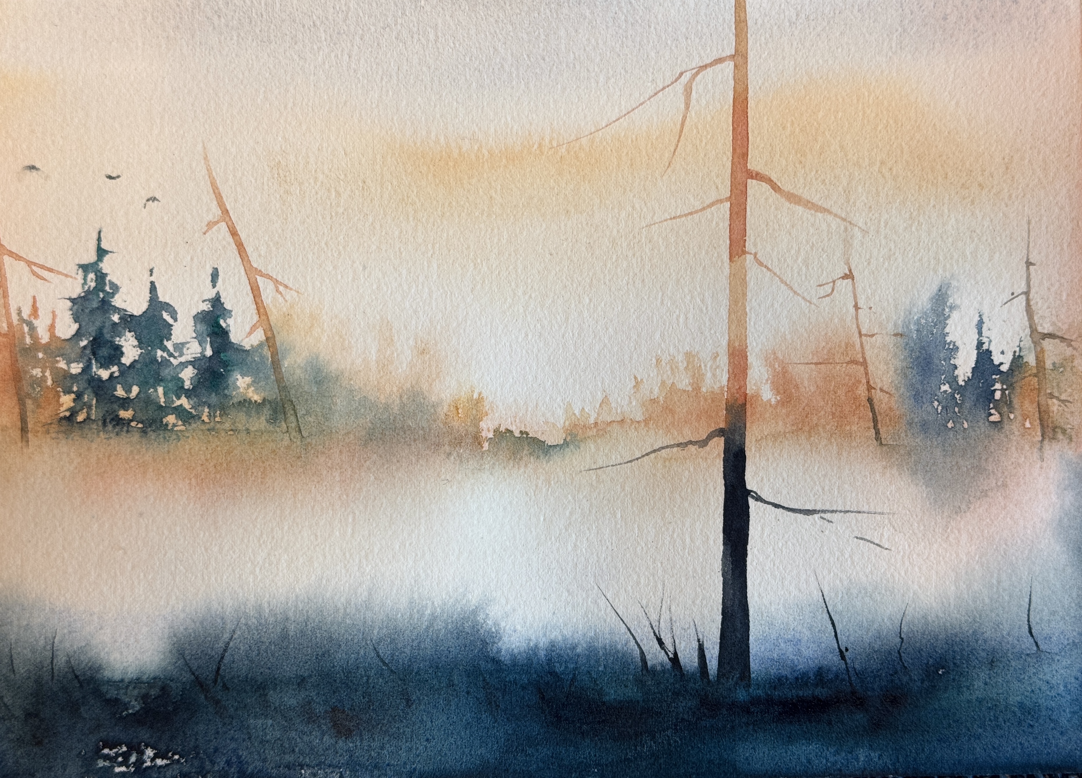 Morning's gentle hold