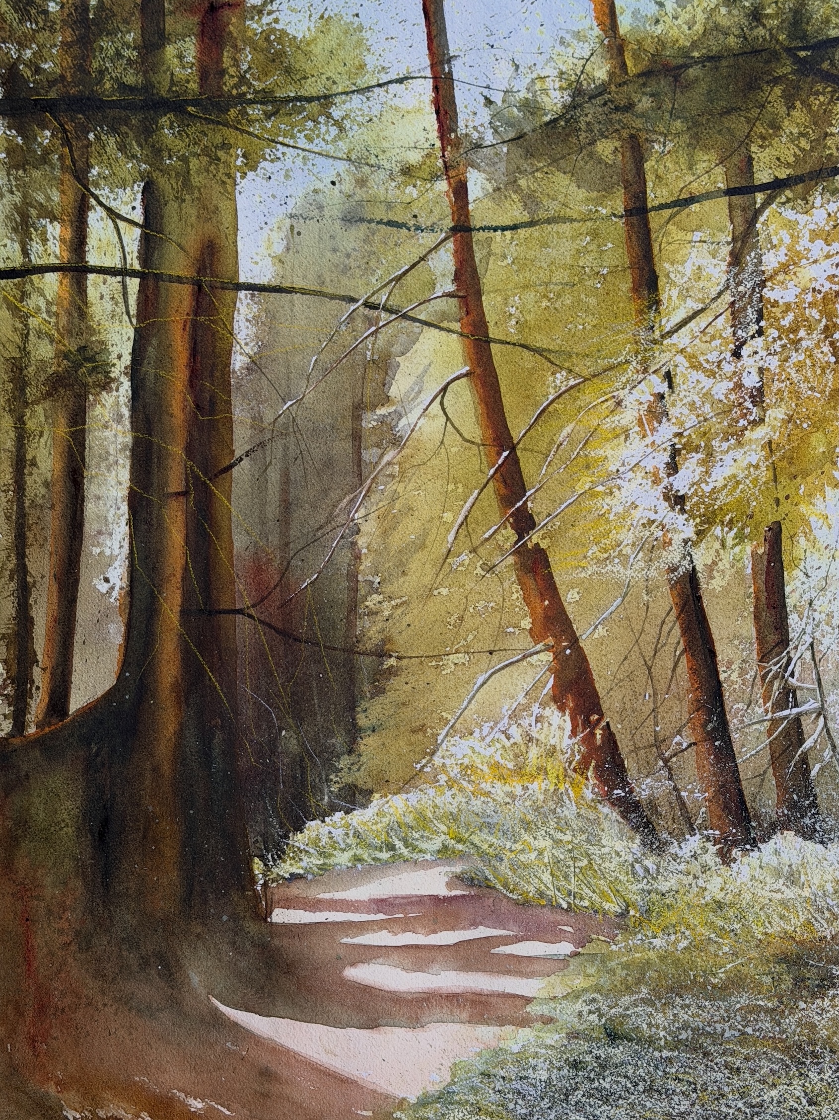 The light finds its way