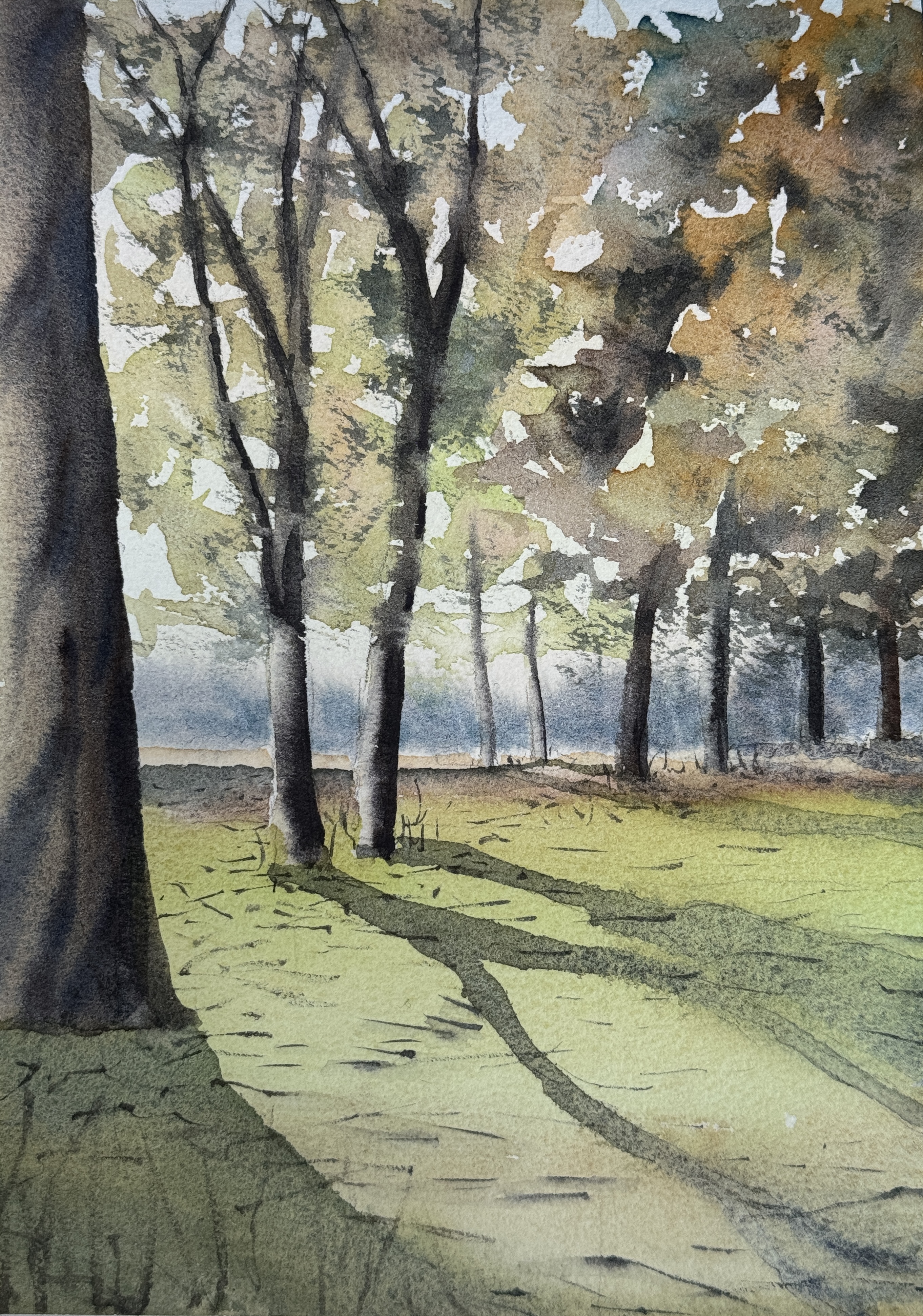 Time slows beneath the canopy