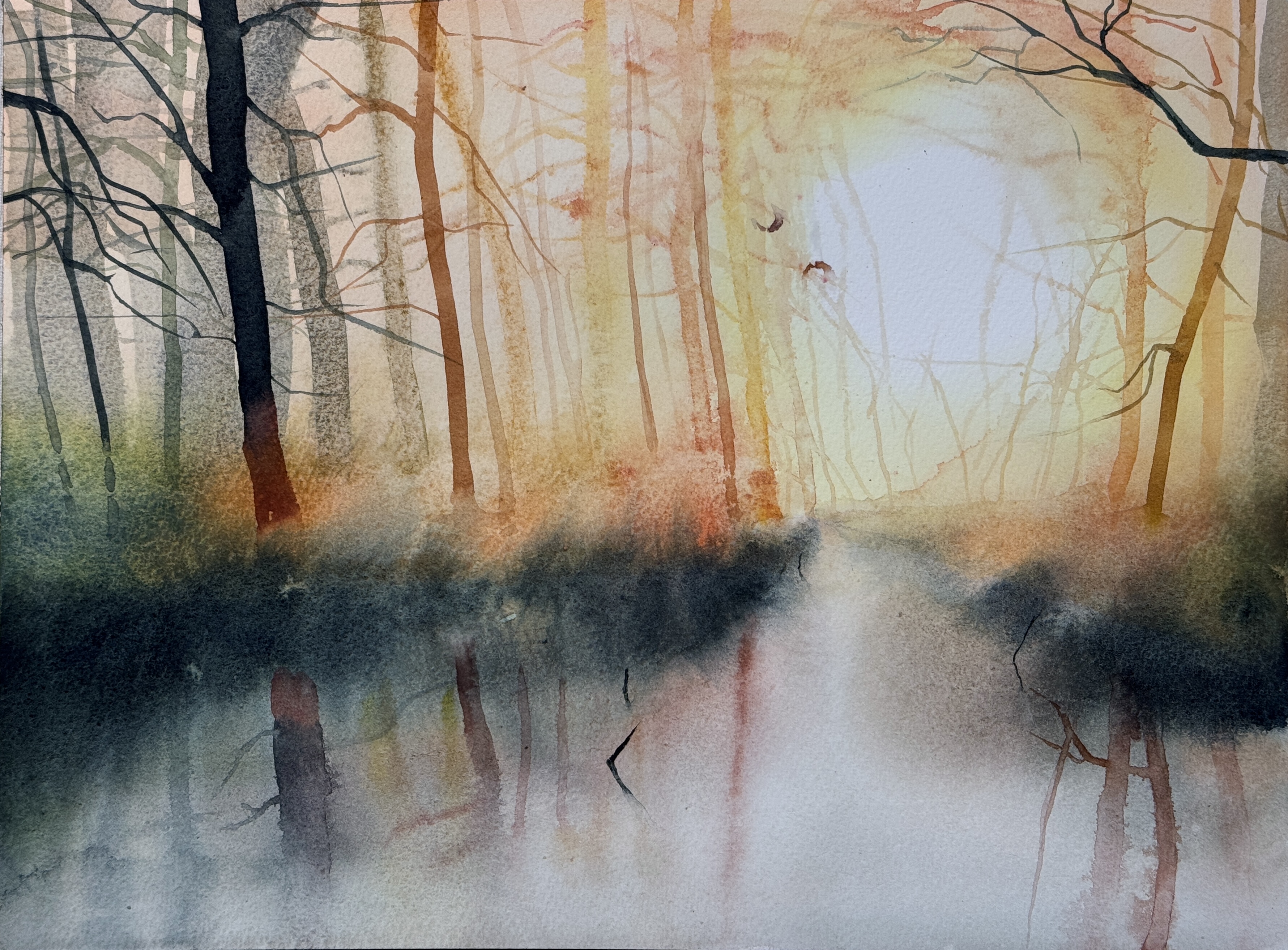 Where the light finds you